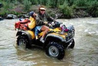 Palin and the all-terrain-thumb-425x283.jpg