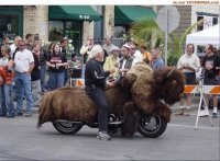 buffalo_motorcycle.jpg