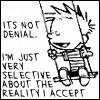 calvin denial.jpg