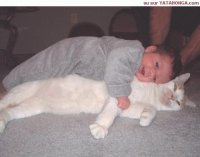 Cat N A kid 2.jpg