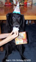 Bear's10thBirthday.jpg