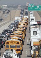 Texas buses.jpg