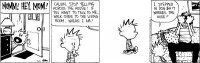 calvin1.jpg