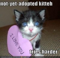 funny-pictures-i-love-you-note-kitten.jpg