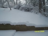 Snow 3-2-09 001.JPG