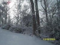 Snow 3-2-09 002.JPG