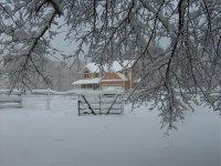 Snowstorm2March2,2009 .jpg