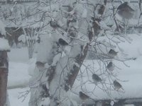 Winter 09 060.jpg