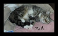 myah-09.jpg