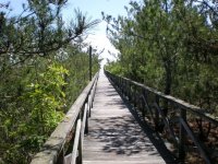 Walkway to the water.jpg