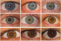 eyes-400.jpg