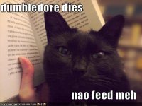 funny-pictures-cat-spoils-your-book.jpg