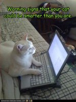 funny-pictures-your-cat-is-smart.jpg