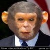 bush-chimp.jpg