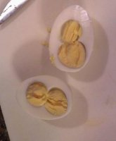 Double yolk eggs.JPG