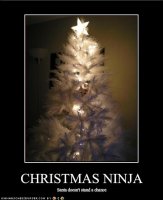 funny-pictures-cat-is-a-christmas-ninja.jpg