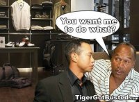 Tiger Busted again.jpg