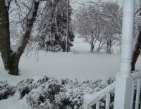 Feb snow 2010.JPG