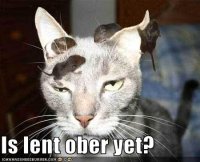 funny-pictures-cat-waits-for-end-of-lent.jpg