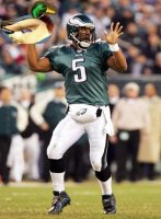 mcnabb1.JPG