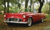 55 Thunderbird.jpg