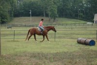 Sparks trot Aug 2010.jpg