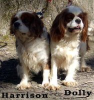 Dolly-Harrison2.jpg