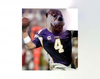 otterfavre.jpg