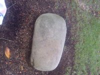 Moll Dyer Rock.jpg
