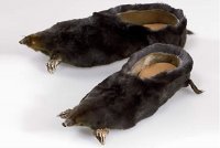 crazy-shoes-mole-slipper.jpg