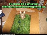 box.jpg