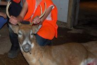 Deer Hunting 2010 228-1.jpg