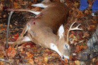 Deer Hunting 2010 118.jpg