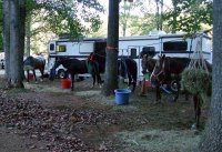 smallercamping-1.jpg