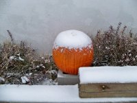 weatherpumpkin.jpg