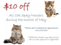 spay neuter may 2011.jpg