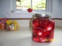 pickled beet eggs 8-13-11 003.JPG