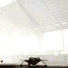 avatar_13691.gif