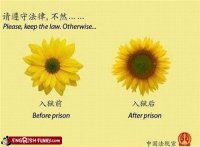 engrish-funny-the-law-keep-it-or-else.jpg