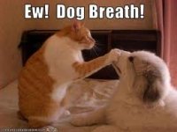 dog-bad-breath.jpg