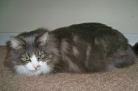 Smokey01012012.jpg