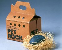 pet-rock.jpg