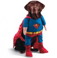 super-dog.jpg