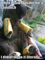 Sammich.jpg