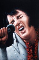Velvet Elvis.jpg