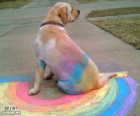 epic-fail-photos-win-sleeping-on-chalk-win1.jpg