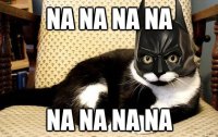 catman.jpg