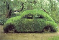 grass-covered-car.jpg