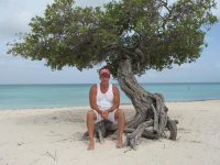 Aruba 2012 Divi Divi Tree.jpg