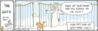 cats and the gate.jpg